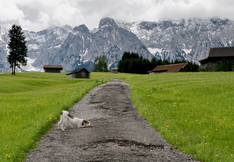 LandSüdtirol D35_4901 als Smart-Objekt-1 Kopie.jpg - In unmittelbarer Nähe vom Campingplatz führte dieser Weg in Richtung Karwendel Gebirge. Felix wurde von Tag zu Tag gehorsamer und auch seine Jagdattaken ließen nach.